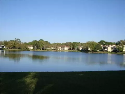 317 Woodlake Wynde #317, Oldsmar, FL 34677