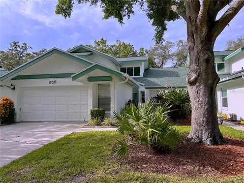 255 Woodridge Cir, Oldsmar, FL 34677