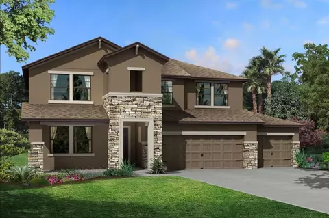 33129 Amling Pecan Br, Wesley Chapel, FL 33545