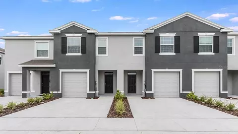 32981 Tulip Petal Ln, Wesley Chapel, FL 33545