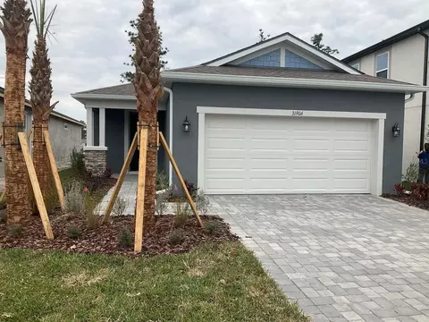 31906 Asbury Ave, Wesley Chapel, FL 33545