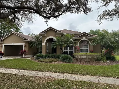 9113 Woodridge Run Dr, Tampa, FL 33647