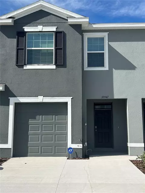 32947 Tulip Petal Ln, Wesley Chapel, FL 33545