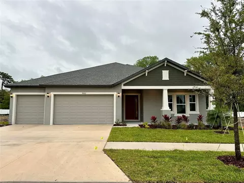 8843 Mugnai St, Riverview, FL 33578