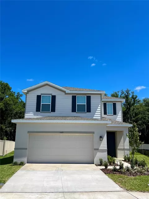 11019 Osprey Glade Ter, Land O Lakes, FL 34638