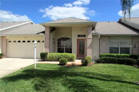 1134 Sweet Jasmine Dr, Trinity, FL 34655