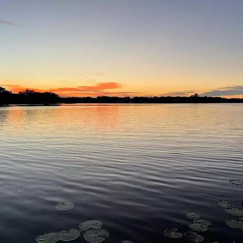 Undisclosed, Tampa, FL 33613
