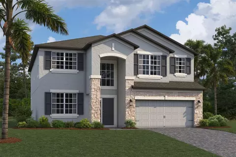 10667 New Morning Dr, Tampa, FL 33647