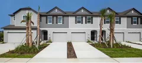 10777 Ironwood Tree Way, San Antonio, FL 33576