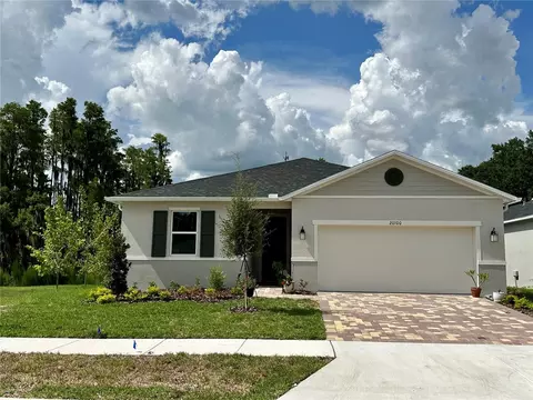 20100 Azul Marble Loop, Land O Lakes, FL 34638