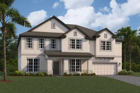 10602 New Morning Dr, Tampa, FL 33647