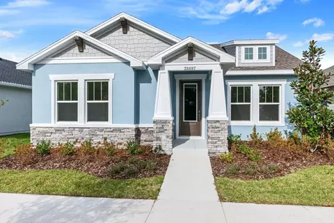 28756 Rambutan Dr, Wesley Chapel, FL 33543