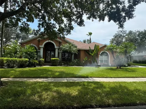 19142 Timber Reach Rd, Tampa, FL 33647