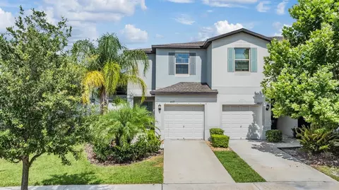 4513 Globe Thistle Dr, Tampa, FL 33619