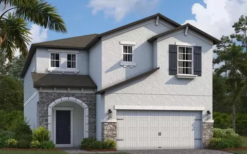 33228 Amling Pecan Br, Wesley Chapel, FL 33545