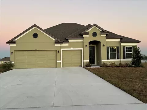 10133 Dolphin Gull Cir, Thonotosassa, FL 33592