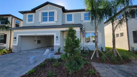 10657 New Morning Dr, Tampa, FL 33647
