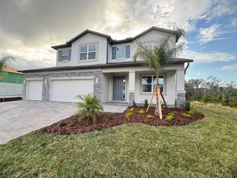 3196 Marine Grass Dr, Wimauma, FL 33598