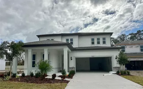 12621 Glenn Creek Dr, Riverview, FL 33569