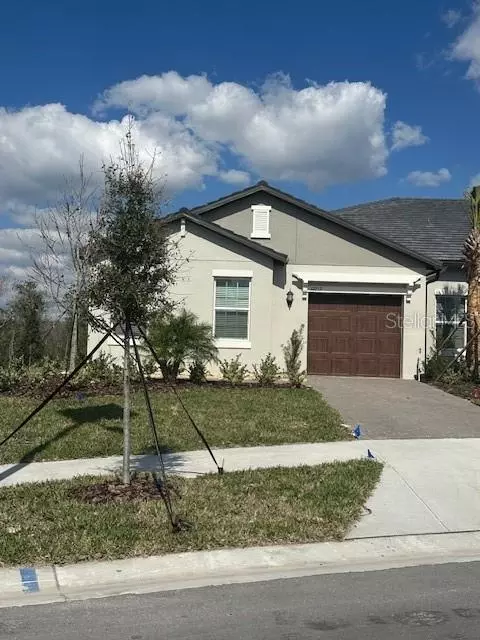 17217 Tortoise Crown Blvd, Land O Lakes, FL 34638
