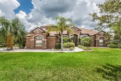 15706 Blue Star Ct, Odessa, FL 33556
