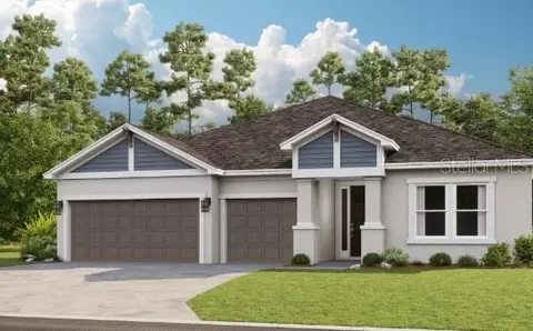 16430 Star Grass Cir, Bradenton, FL 34211