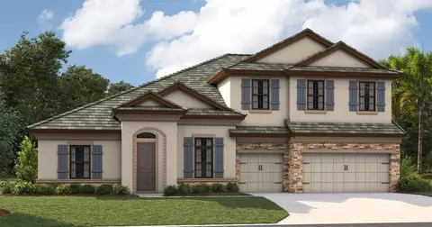 13486 Buffalo Mountain Ave, Riverview, FL 33579