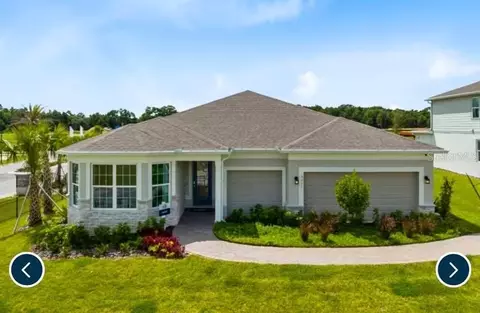 5149 Rising Ridge Dr, Mount Dora, FL 32757