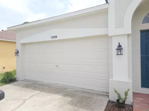 12509 Loquat Way, Tampa, FL 33626