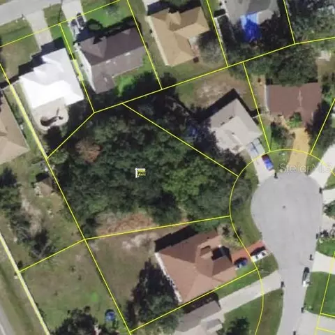 507 Magpie Ln, Kissimmee, FL 34759