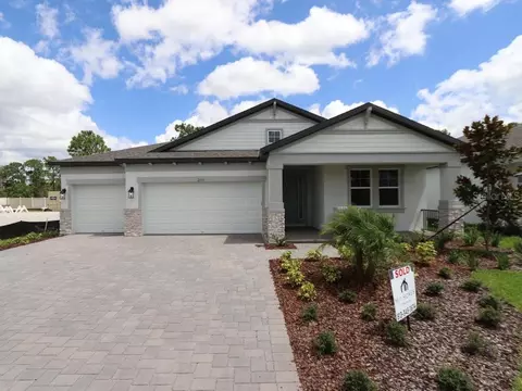 2335 Clary Sage Dr, Spring Hill, FL 34609