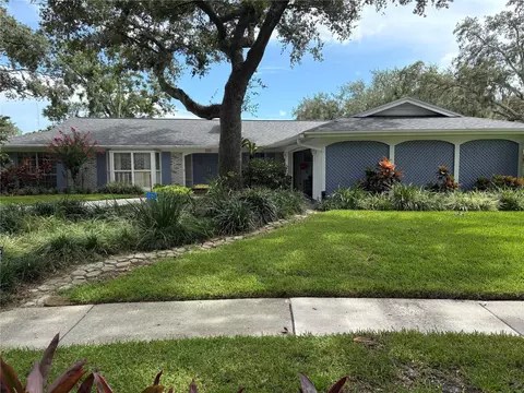 10912 Juniperus Pl, Tampa, FL 33618