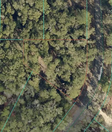 Fisher Lane Place, Ocklawaha, FL 32179