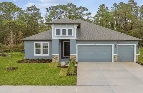 789 Nicewinter Dr, Spring Hill, FL 34609