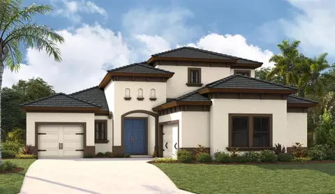13407 Buffalo Mountain Ave, Riverview, FL 33579