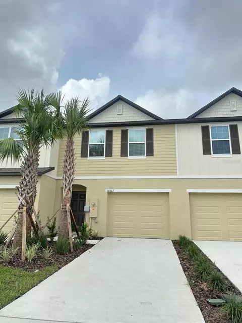 10807 Ironwood Tree Way, San Antonio, FL 33576