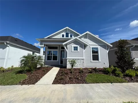 28773 Sweet Persimmon Dr, Wesley Chapel, FL 33543