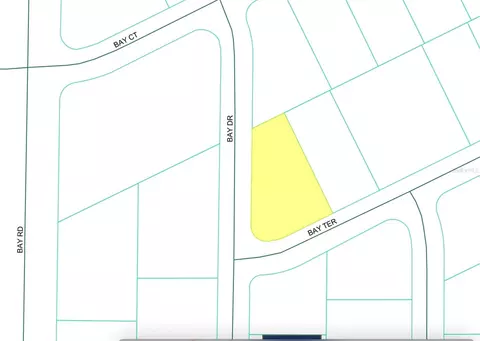 Bay Terrace, Ocklawaha, FL 32179
