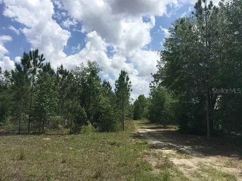 NE 44th Avenue, High Springs, FL 32643