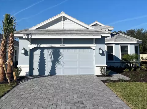 30099 Imperati Blvd, Wesley Chapel, FL 33543