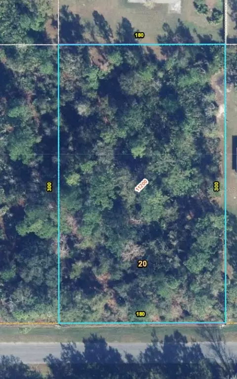 lot20 Starry St, Orlando, FL 32833