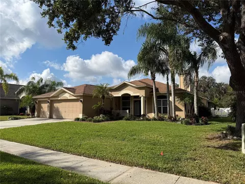 10319 Tarragon Dr, Riverview, FL 33569