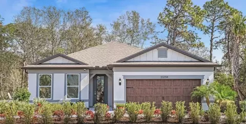33268 Barnebrook Dr, Wesley Chapel, FL 33545