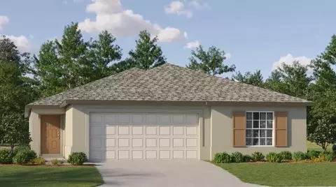 22496 Nebula Way, Land O Lakes, FL 34637
