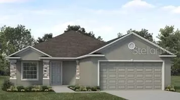 1041 Mountain Flower Ln, Davenport, FL 33837