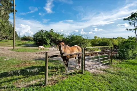 Old Homeland Road, Bartow, FL 33830