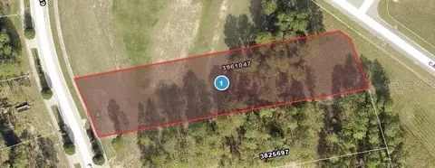 16404 Pendio Dr, Montverde, FL 34756