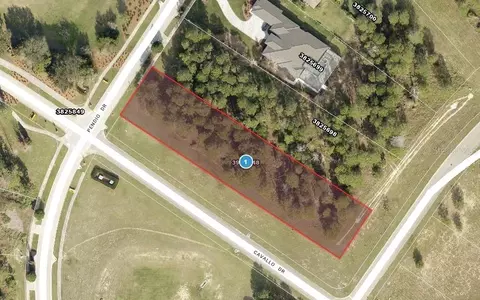 14996 Pendio Dr, Montverde, FL 34756