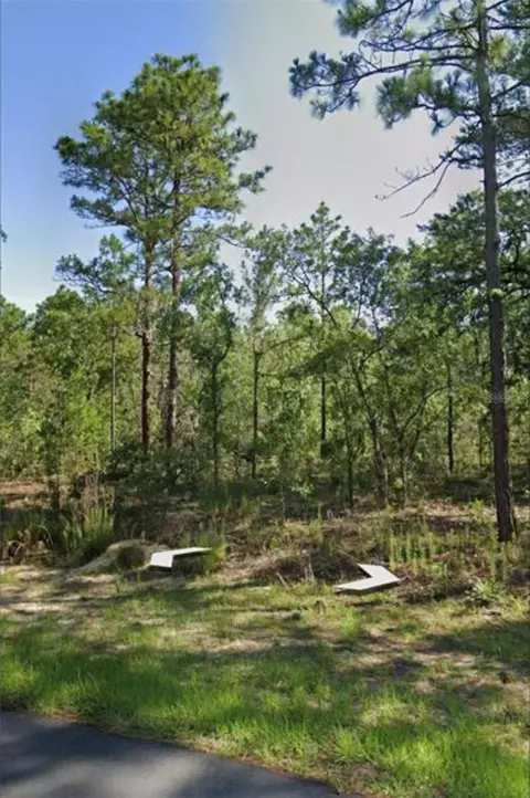 1918 Cr 243 C, Wildwood, FL 34785