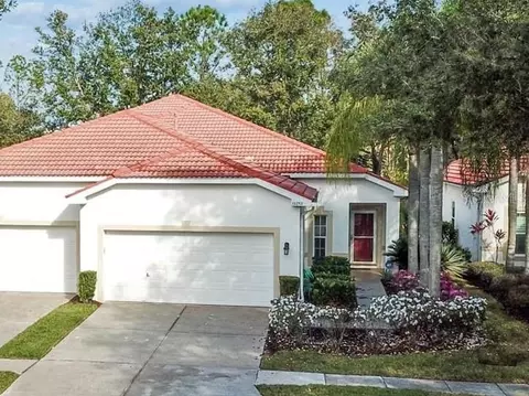 10252 Devonshire Lake Dr, Tampa, FL 33647